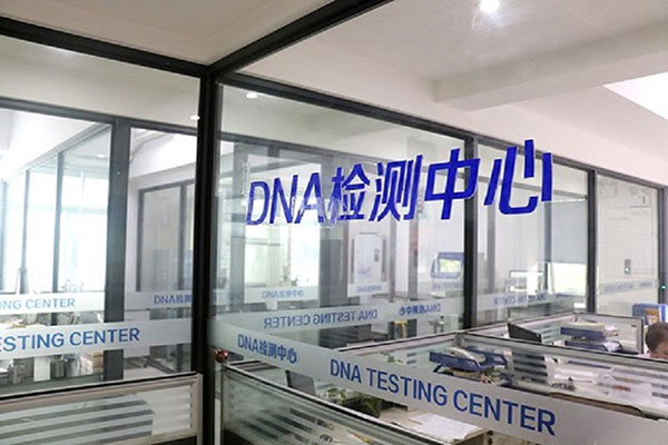 深圳DNA鉴定何时能更早进行？ 